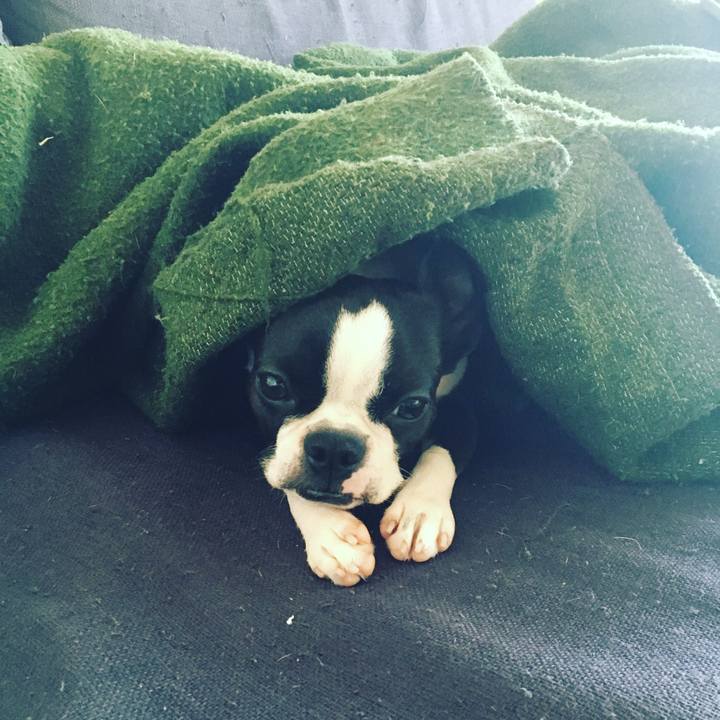 80c10049 def6 416b 963b 58580c85bbcc 1520381149176