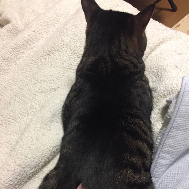 80c10852 d51a 4f03 b149 1398e7041b52 1527000079895