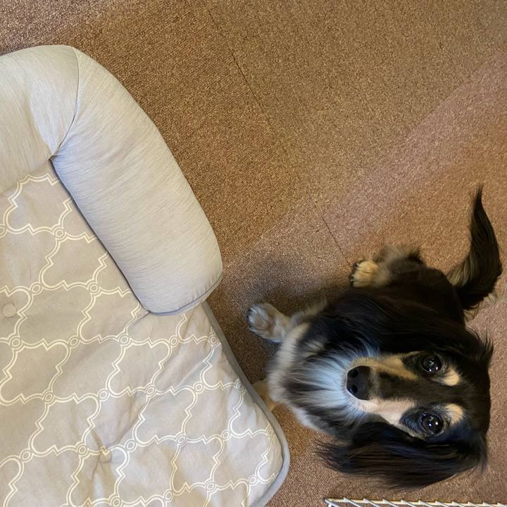 80c17b51 027e 44b8 a478 1d9b06c8ec15 1752233806590