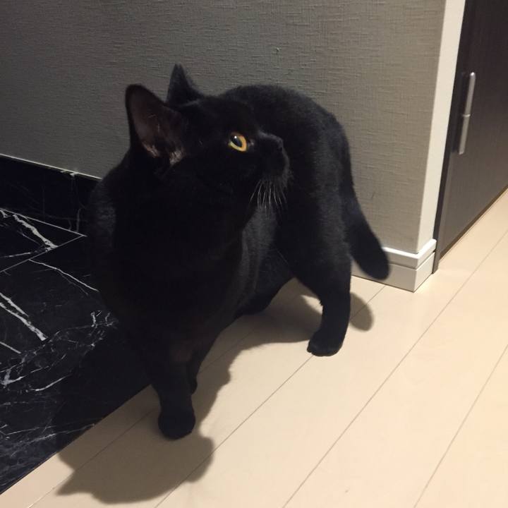 80c1c884 d659 4a22 b431 eb9e2115d363 1508745577213