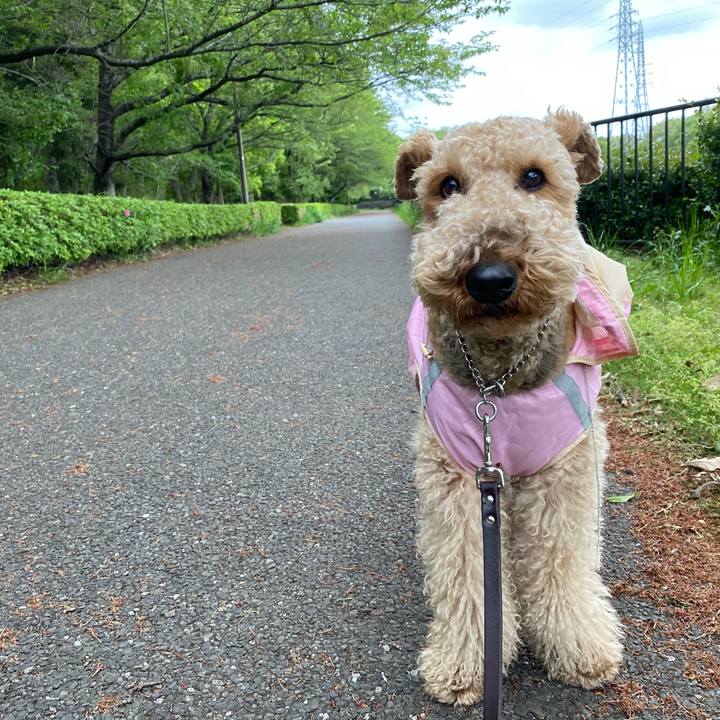 80c1dde0 8065 4393 8b4a 9848b08e985e 1618656667143