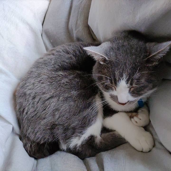 80c1f83d 047f 4591 ae89 e1c00b7c175d 1671249348859