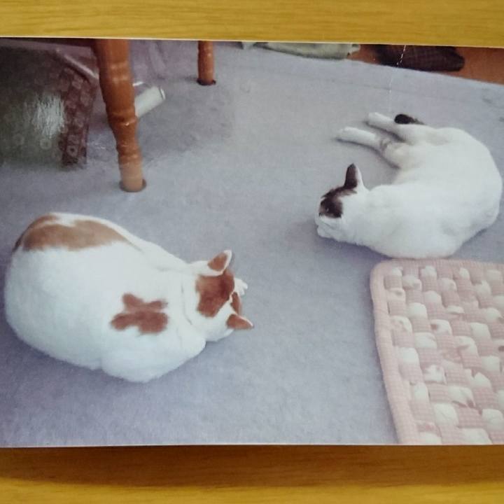 80c214a0 1e2c 4801 99f5 a8cac89106b9 1583667330344