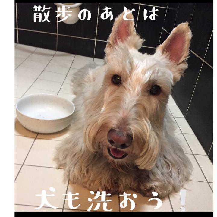 80c22c0a 414f 4014 89a3 d82259f11a03 1586247873313