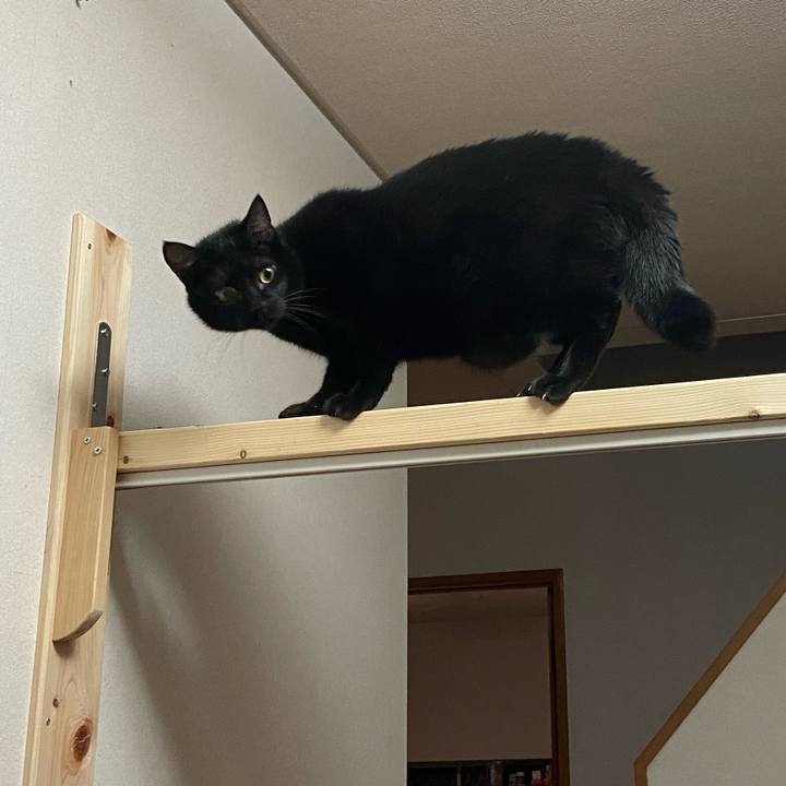 80c26663 62e4 410d 828f ea4f56afce41 1634644879053