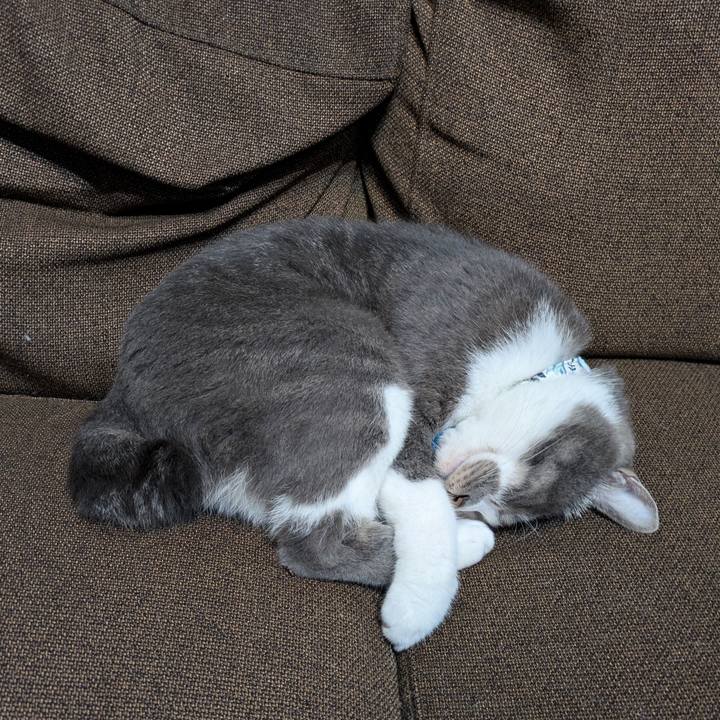 80c2d2c5 e0c8 4ab8 a69f 24994f2d7fb5 1730039038332