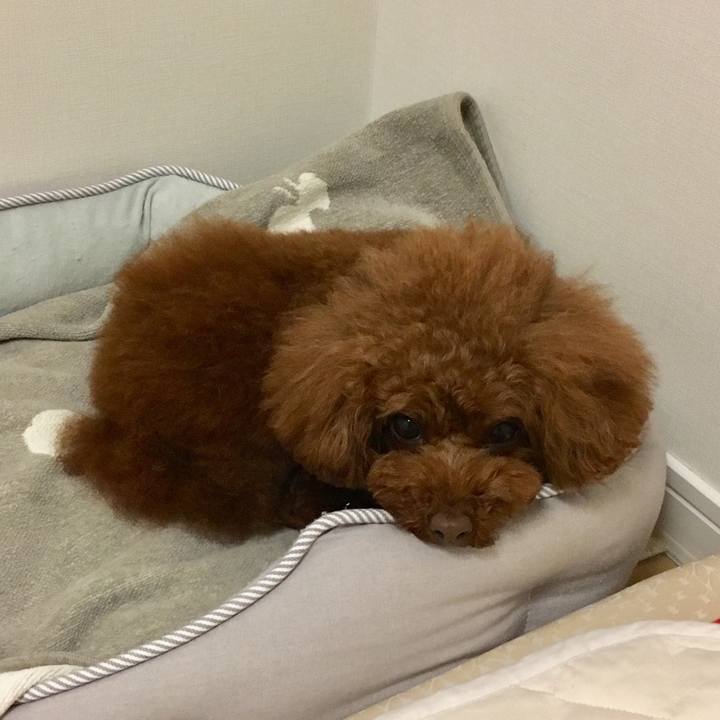 80c33d47 552f 44ba bfe7 6b88aed07f8c 1528069979860