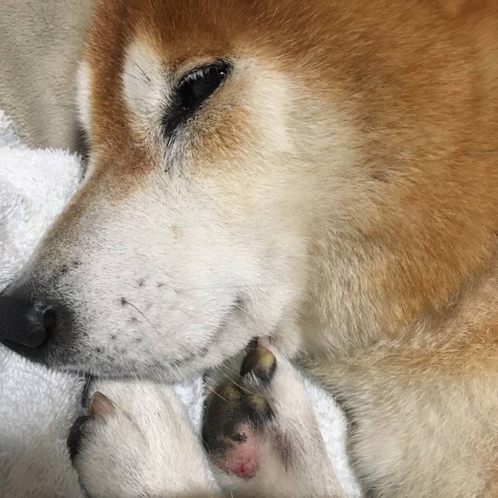 80c362c1 70d6 4d62 9339 3fe4e1286da2 1508075731202