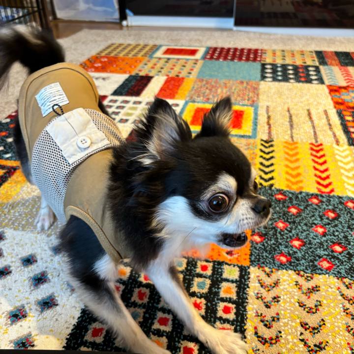 80c3b01f 7a44 408c 8e52 4e13350f703f 1725725354502