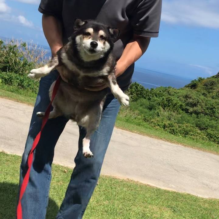 80c3cd4a 8ca1 48bd 98d7 95e44d01e9b3 1630460100543