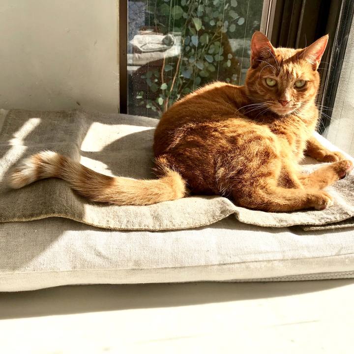 80c3f4c1 b760 4aae ab6a 70550280cf19 1511674061548