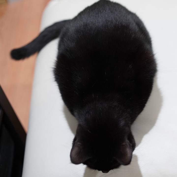 80c41230 2236 4e4d 82f2 3272d2006829 1579613546000