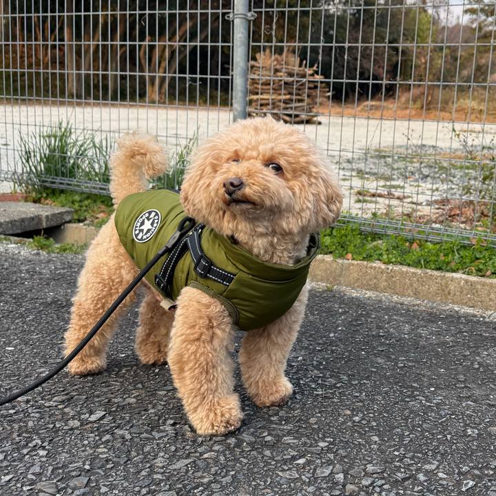 80c45ce6 3f01 433f 90c7 6c4d78b81858 1767912145141