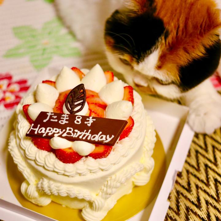 80c476c4 811f 4dd2 b5c7 dca073db3e01 1634821403352