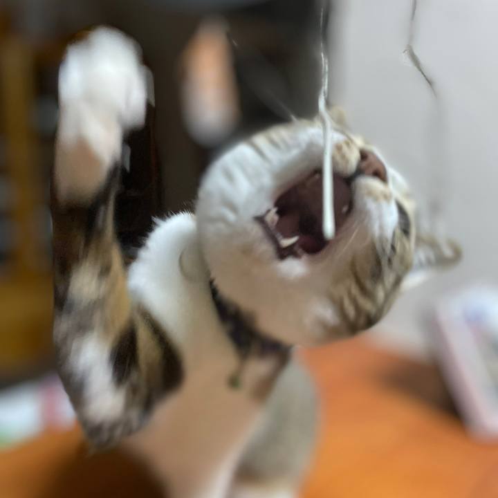 80c4b827 c676 4061 9aee 6f6a7c79d048 1645022356395