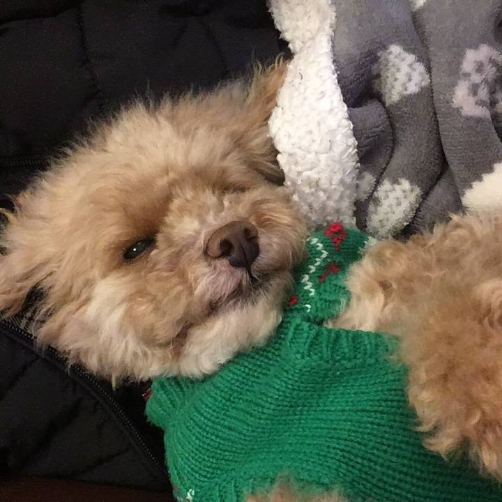 80c4daa3 de6e 472e 8a5f d87819eefd82 1577015962350