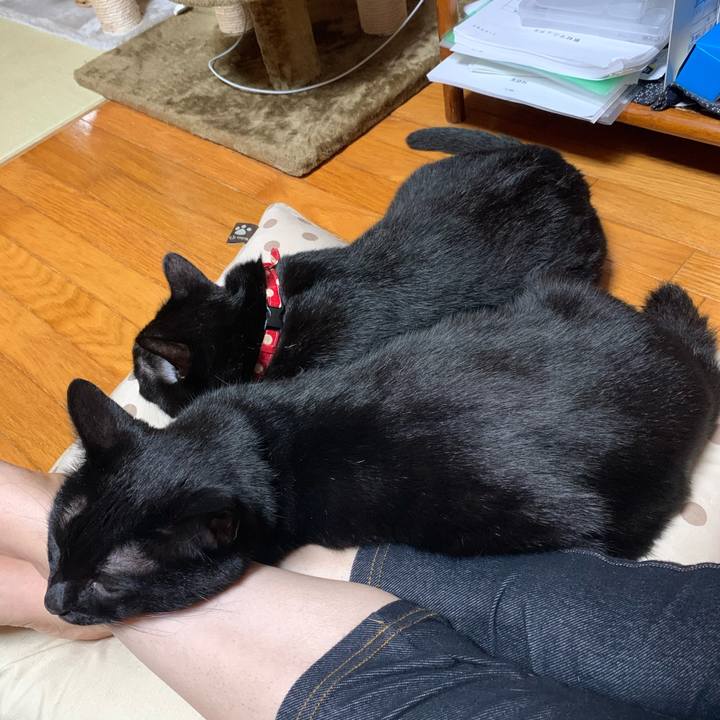 80c52572 5fd6 4b83 9701 cdb998c5eee8 1570454769470