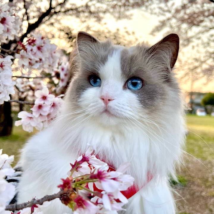 80c58617 8b26 4508 8357 889c9f75552d 1649241217701