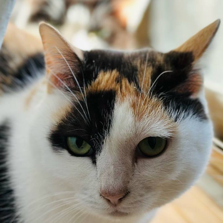 80c5a0d7 d0d6 49f3 a0f7 04c5db6bc442 1705974440480