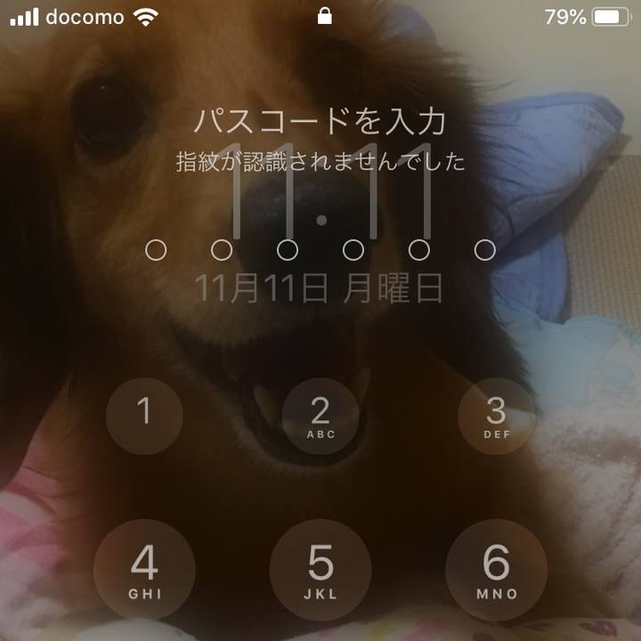 80c5ae45 760f 40ca a0b2 82fb7b018f58 1573465929650