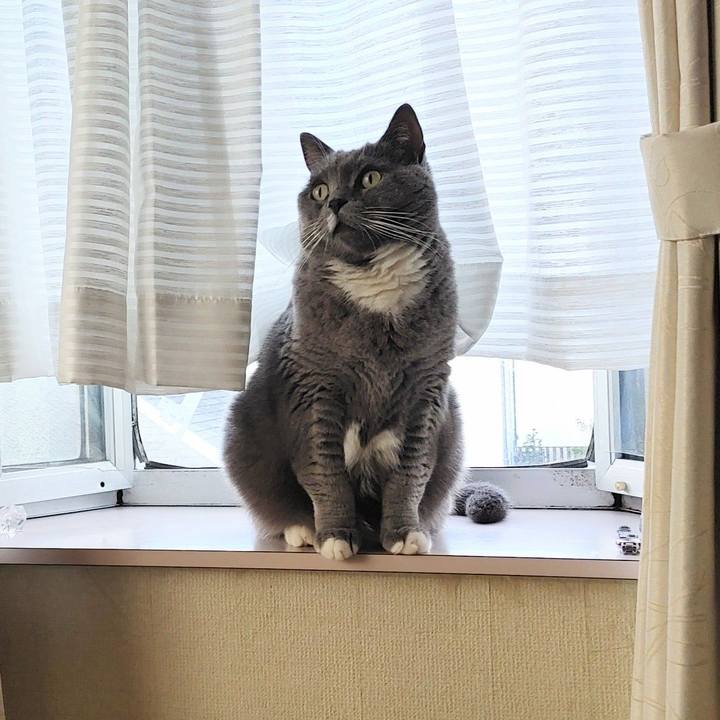 80c62887 874f 4f28 83e4 1e7af58d00ee 1698703941481