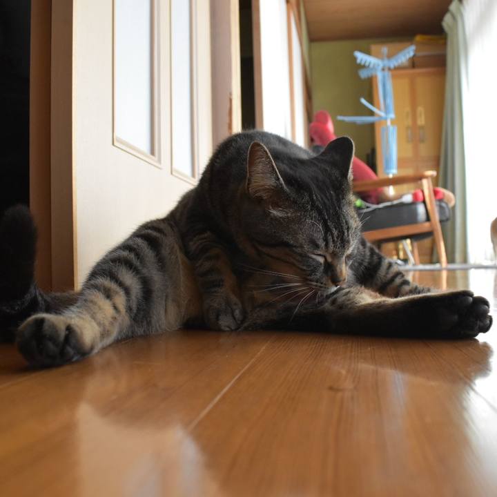 80c62af8 4e75 43e8 996e 70f0a588ef5a 1520148388741