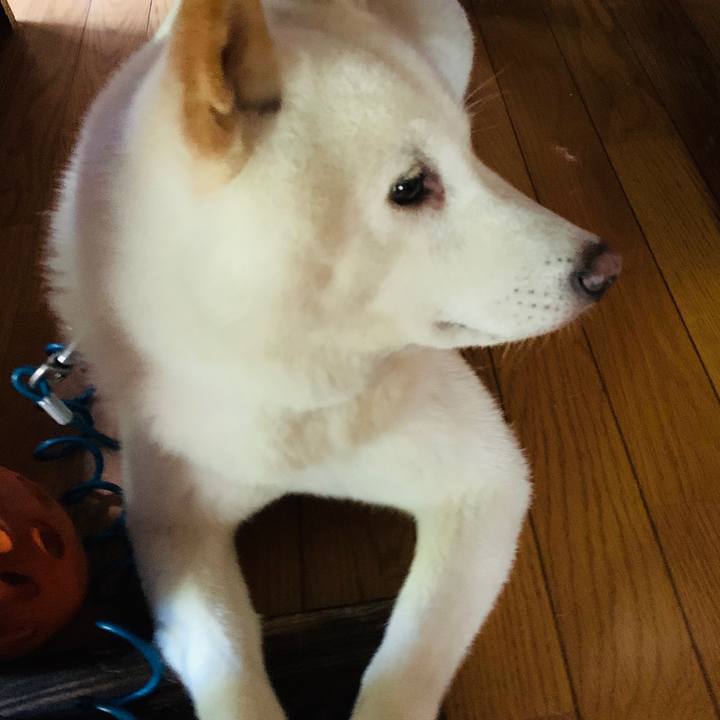 80c67a63 abbb 499a a5e7 fd8ece7a6488 1597179380206