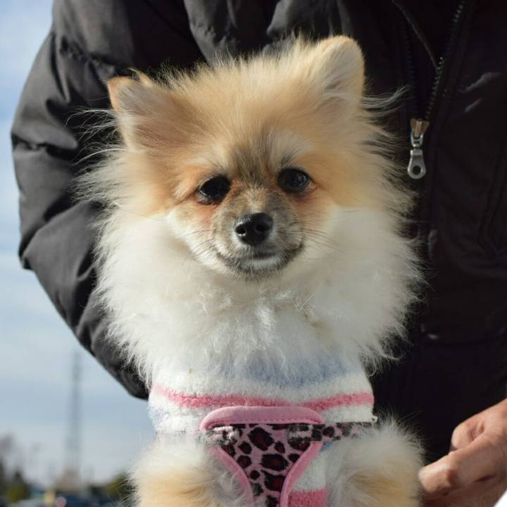 80c6dd52 067b 4532 b02c 6d4d705ca676 1515928798734