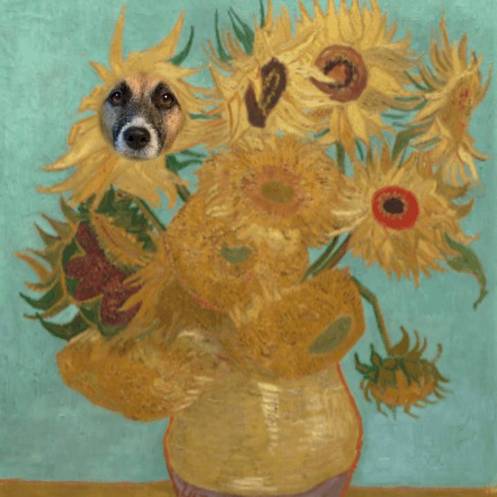 80c76000 7580 4dd0 89e7 6f7e2b0043a5 1635425503177