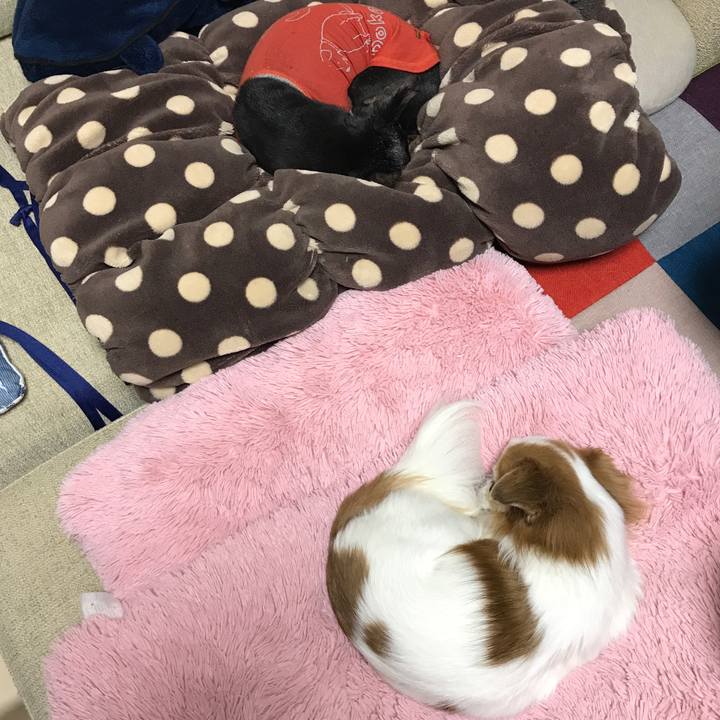 80c7880b 4be4 41f8 9031 09d88a765a81 1516459581841