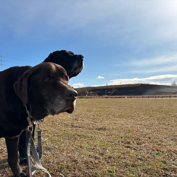 80c79376 935e 4dba a755 84646817a968 1769339699012