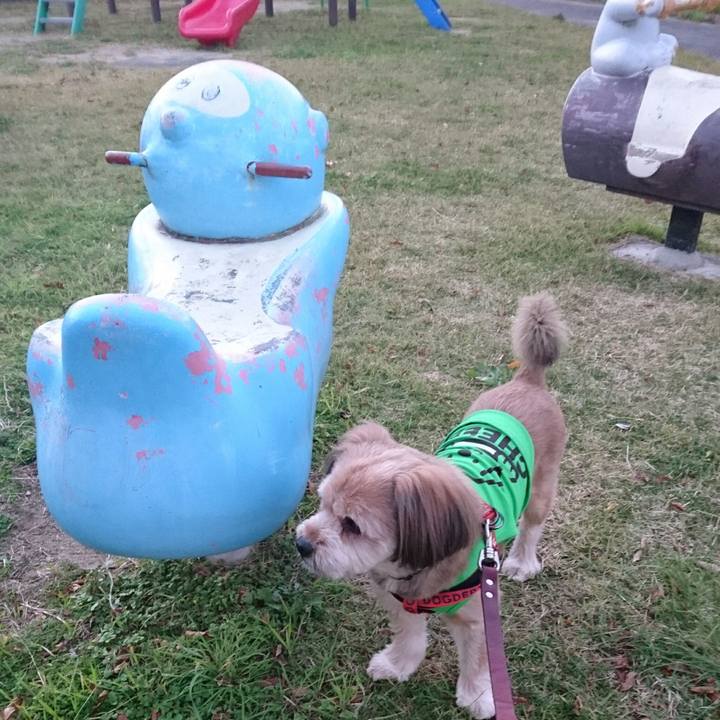 80c7bc99 78e5 4648 9ab4 4f98439bbf8c 1511772035616