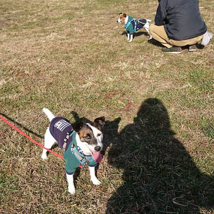 80c7c755 a988 410d 9c27 d0e39a182532 1609661511074