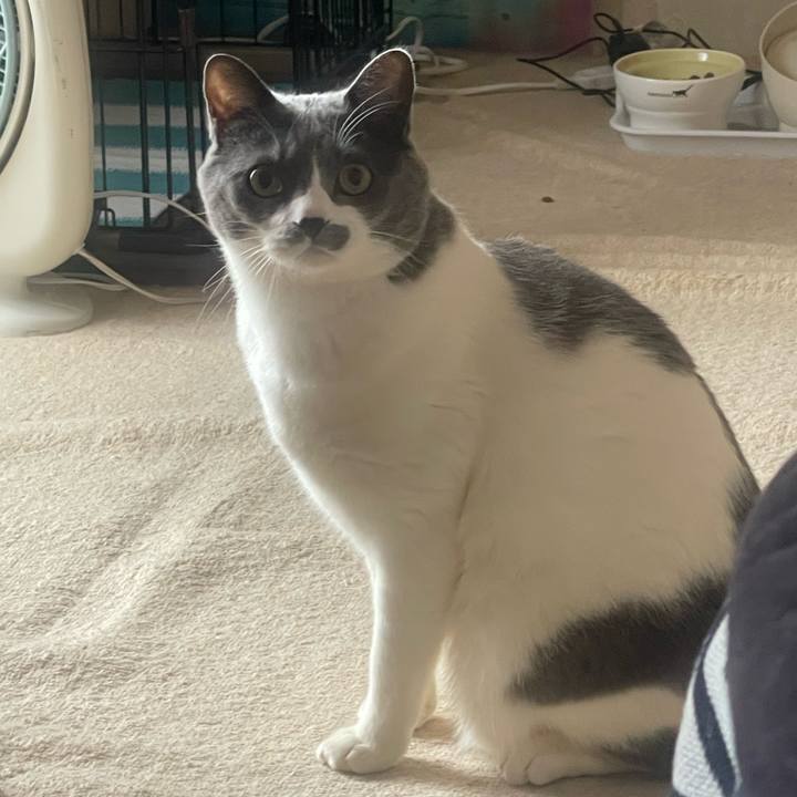 80c7da71 0e22 4b51 9d9c 3e74f39d1912 1707187836781