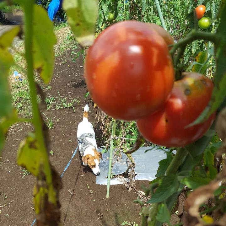 80c7f605 c406 4221 9424 ebe4373edd68 1564288006816