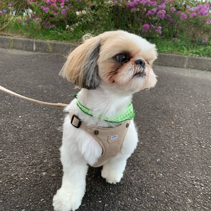 80c841fa 7f24 4b74 8483 2c5342e28611 1601198578070