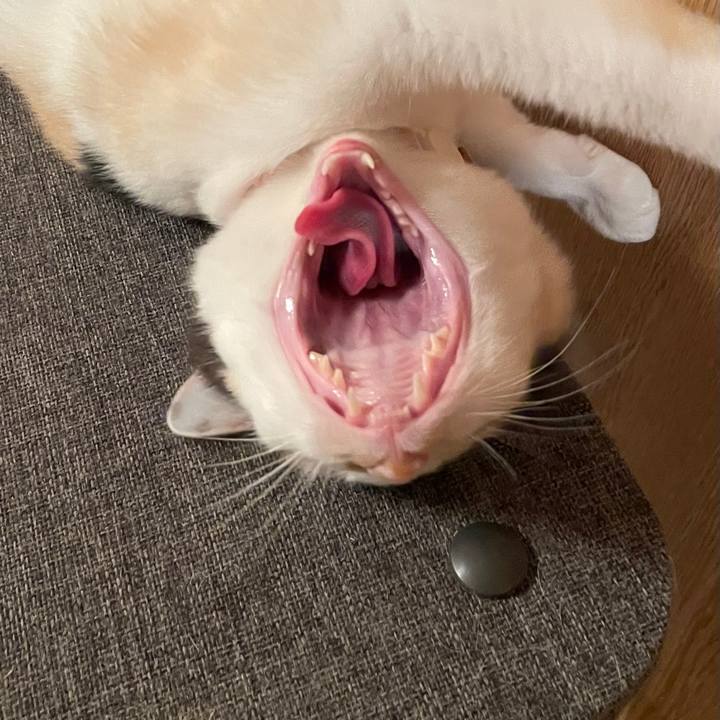 80c86118 a72d 4651 bfce 301b3b02f981 1732715644927