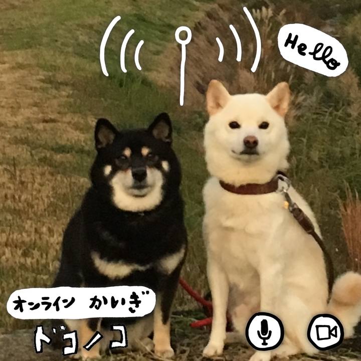 80c87098 ef1c 445f 94e5 4aaeed557e43 1593990881915