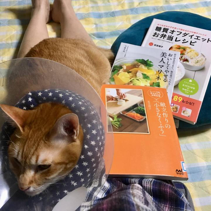 80c890fc 1f5e 4ec7 b571 c3a4e3e69467 1524753260324