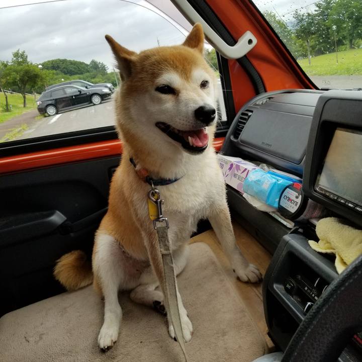 80c8e43e f8d6 4387 b3ea c2dc97963270 1563083781124