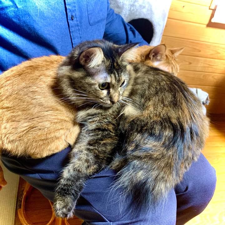 80c94cd1 bebb 4f6a 84b8 1bdc3f824541 1670140109266