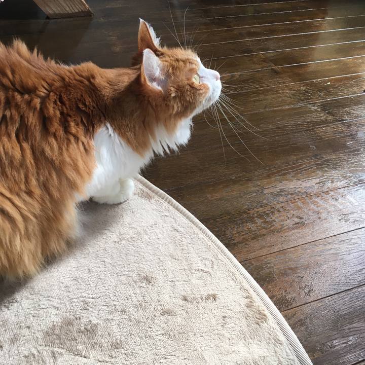 80c9623b a448 4db7 ba00 e3b8a1ede621 1571618657915