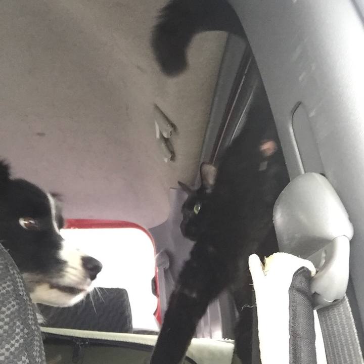 80c98eaa ef9d 4d7f 9bab 378767cf7a58 1580091701551