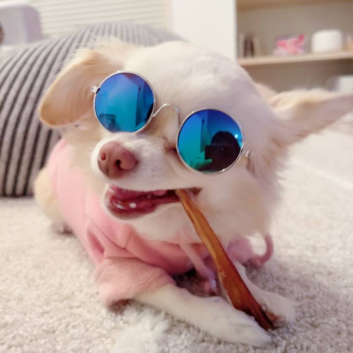 80c9a699 6e8f 4460 8c31 b56c8cfcc963 1701950381430