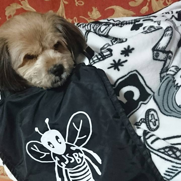 80c9a8a0 b5df 499f 9a08 cb95180215c0 1514471211950