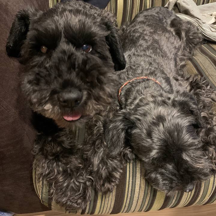 80c9aaf5 5b21 472b 837b f0aad06e2a10 1593780433780