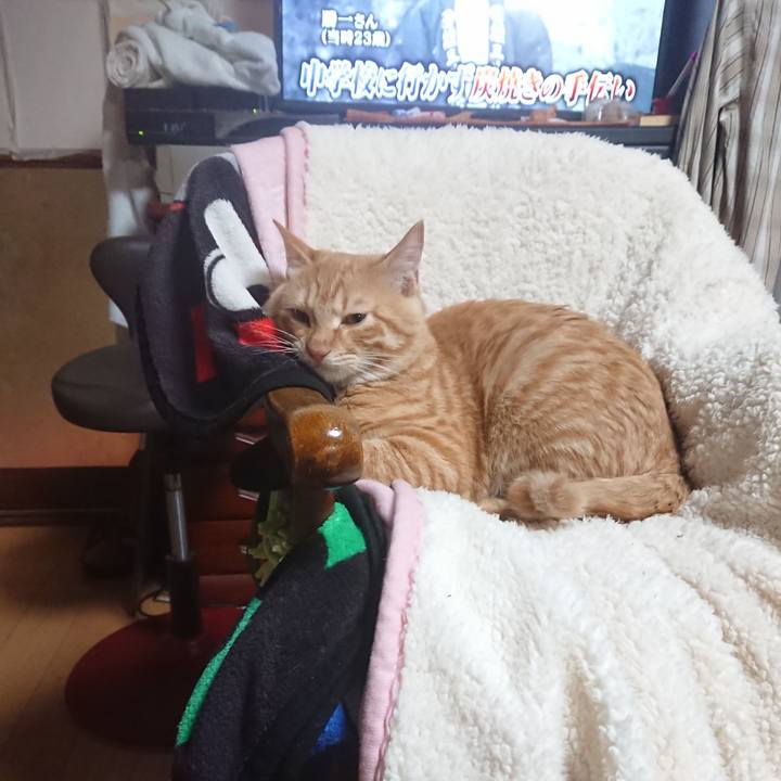 80c9dff3 a2fa 4e11 ac1c b02bc908f27e 1636890111246