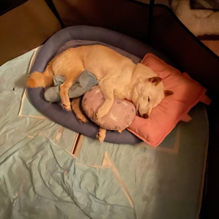 80c9feef dcbb 4895 996c 489656ef4ddc 1654534048768