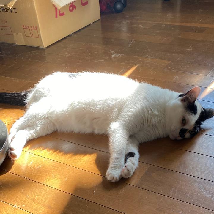 80ca2936 fda3 467c 8289 9dcaafbe5bc4 1751268974293