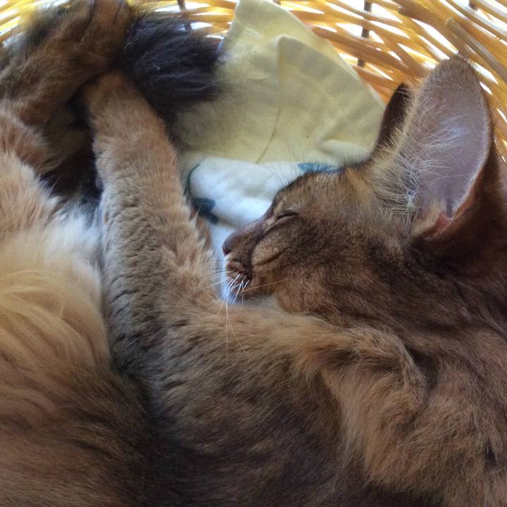 80ca8c2d ccaf 4527 a4cb 983be14e7568 1631232577104